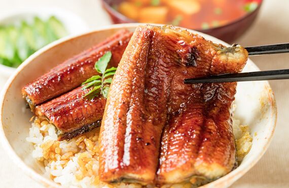 炭火で焼いたおいしい蒲焼きがネットで気軽に購入 | うなぎの通販なら本物の味を堪能できる有限会社せがわ